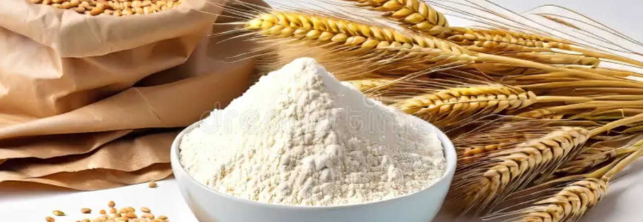 Producción y comercialización de harina de sémola y harina de trigo