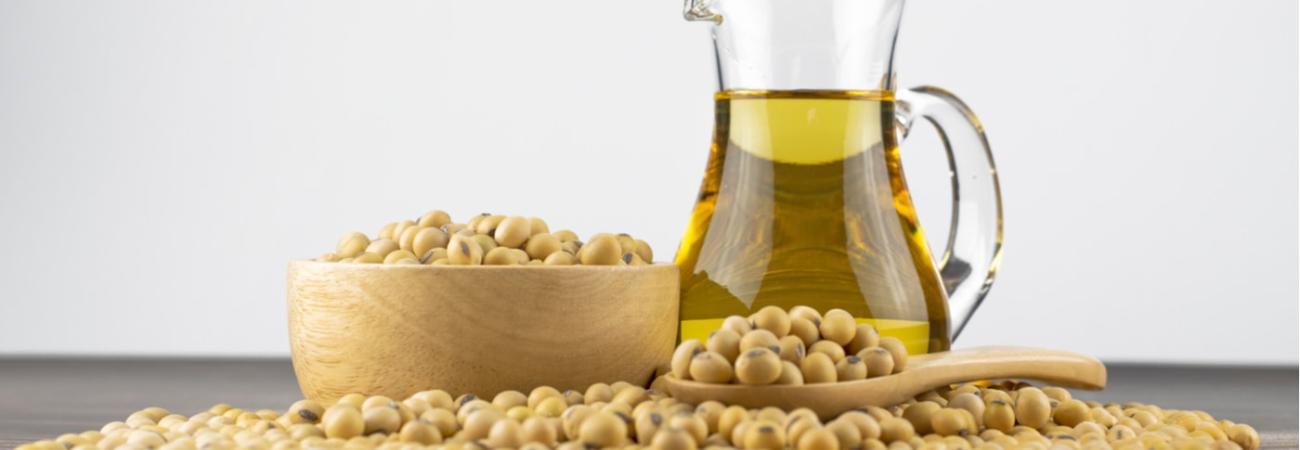 Procesadora de Soya (Fábrica de aceite refinado de soya)