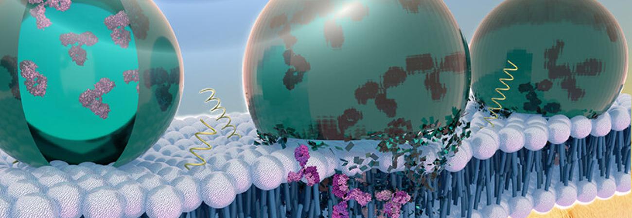 Fabricación de proteínas recombinantes terapéuticas