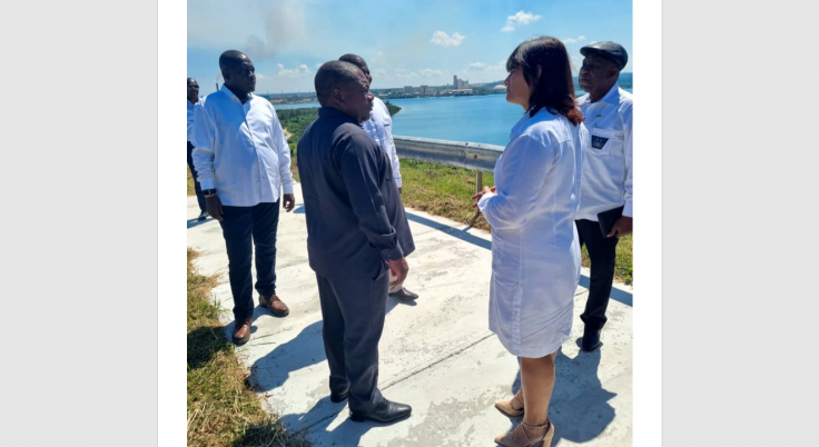 Visita la ZED Mariel Presidente de Mozambique