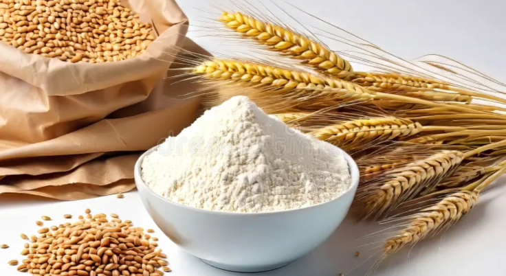 Producción y comercialización de harina de sémola y harina de trigo