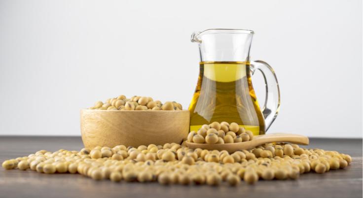 Procesadora de Soya (Fábrica de aceite refinado de soya)