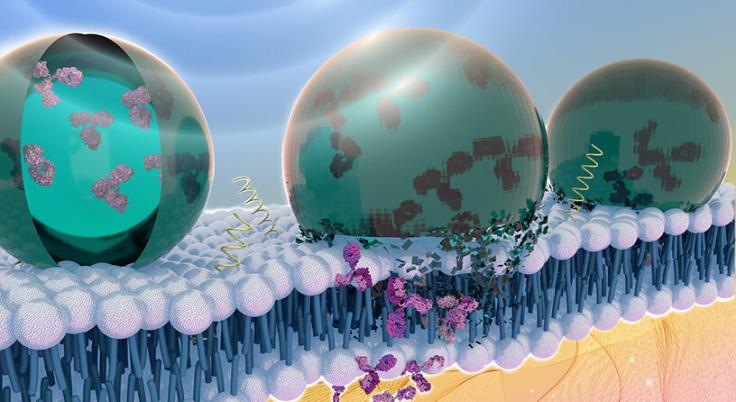 Fabricación de proteínas recombinantes terapéuticas