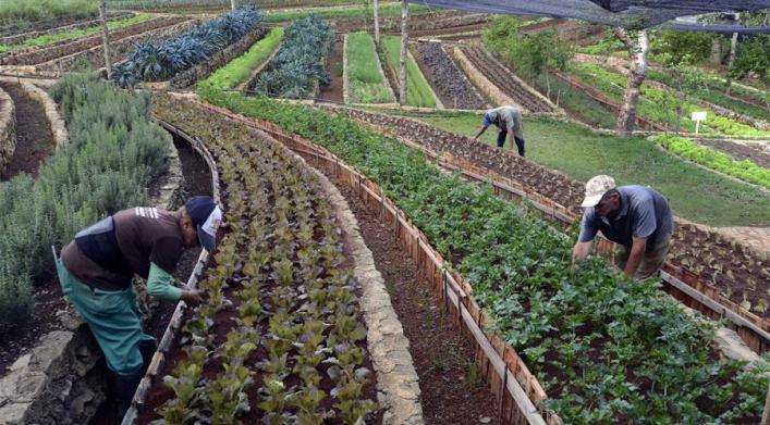 Finca Marta